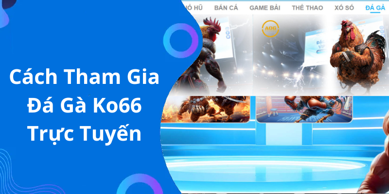 Cách Tham Gia Đá Gà Ko66 Trực Tuyến