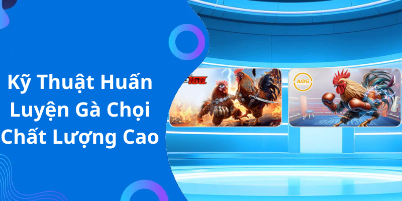 Kỹ Thuật Huấn Luyện Gà Chọi Chất Lượng Cao