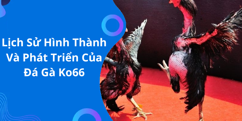 Lịch Sử Hình Thành Và Phát Triển Của Đá Gà Ko66