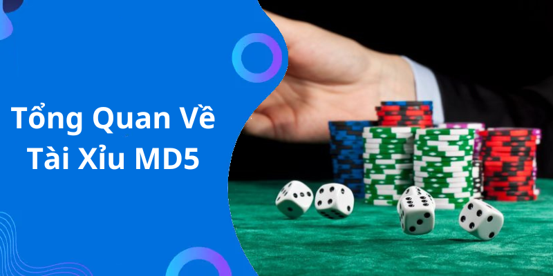 Tổng Quan Về Tài Xỉu MD5