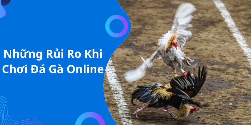 Những Rủi Ro Khi Chơi Đá Gà Online