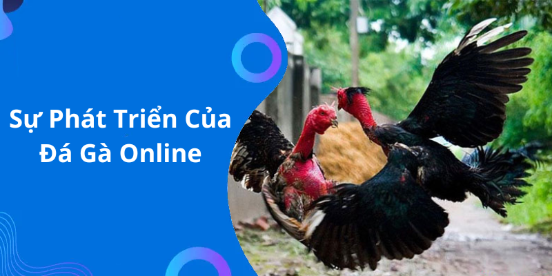 Sự Phát Triển Của Đá Gà Online