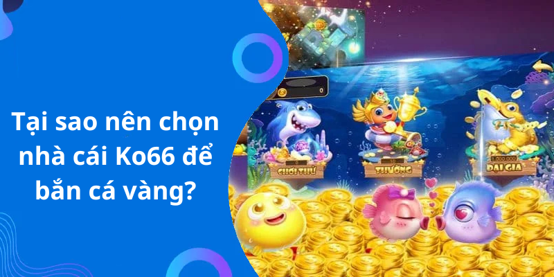 Tại sao nên chọn nhà cái Ko66 để bắn cá vàng